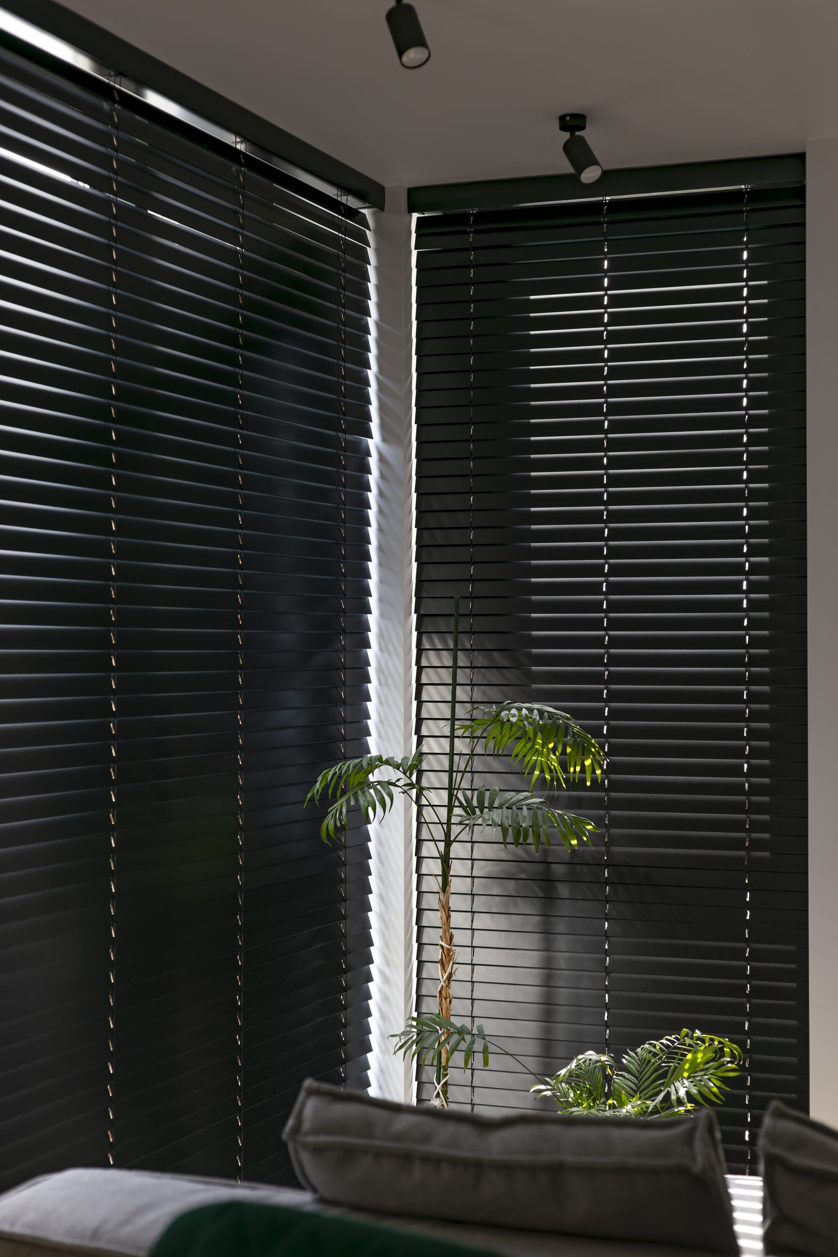 How Do Window Shutters Compare to Blinds for Long-Term Value?
